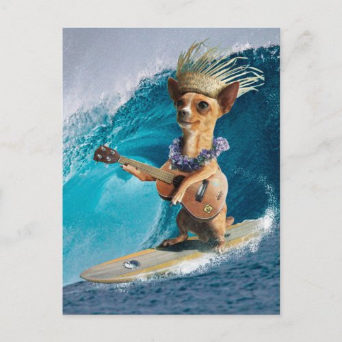 Chihuahua surfing and playing guitar postcard