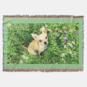 Chihuahua tapestry "sage green" throw. throw blanket