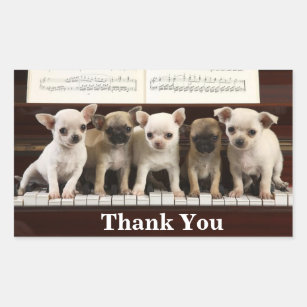 Chihuahua Thank You Puppy Dogs ( Chewawa Chiwawa ) Rectangular Sticker