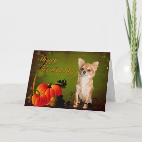Chihuahua Thanksgiving Card