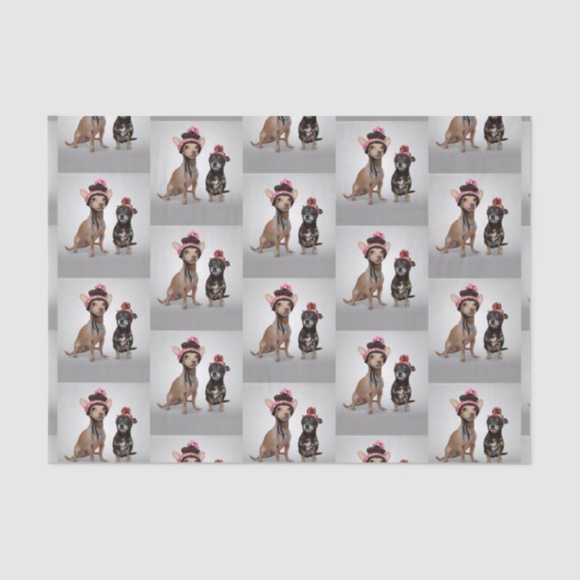 Chihuahua Tissue Paper (Front)