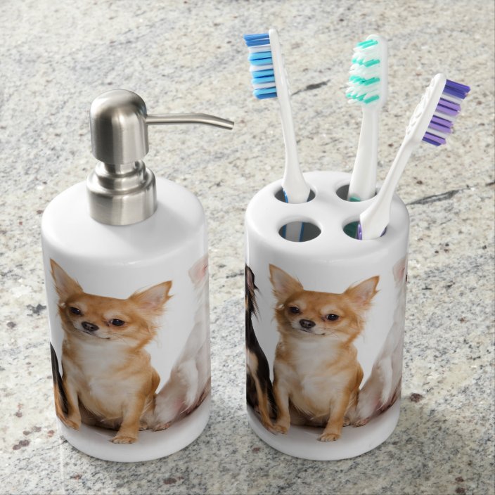 chihuahua toothbrush