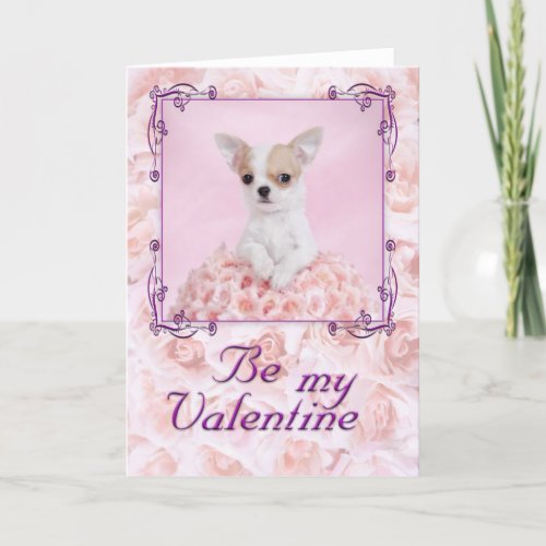 Chihuahua Valentine Holiday Card