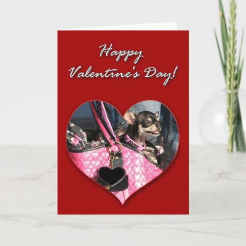 Chihuahua Valentines Day Card