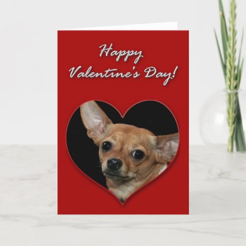 Chihuahua Valentines Day Card