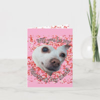 Chihuahua Valentine's Day Folded Holiday Card