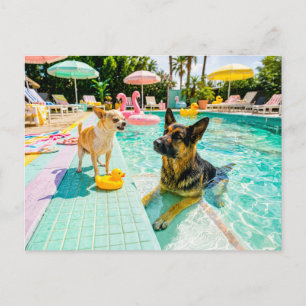 Chihuahua vs shepherd duck postcard