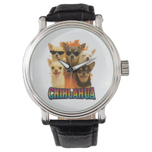 Chihuahua watch