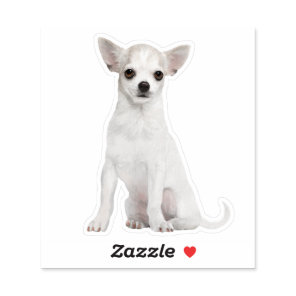 Chihuahua Watercolor White Dog Lover Sticker