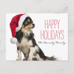 Chihuahua wearing a christmas hat holiday postcard