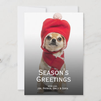 Chihuahua Wearing Christmas Hat And Scarf Holiday Card