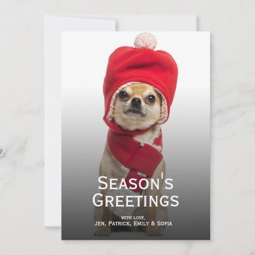 Chihuahua Wearing Christmas Hat And Scarf Holiday Card