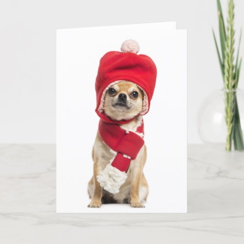 Chihuahua Wearing Christmas Hat And Scarf Holiday Card