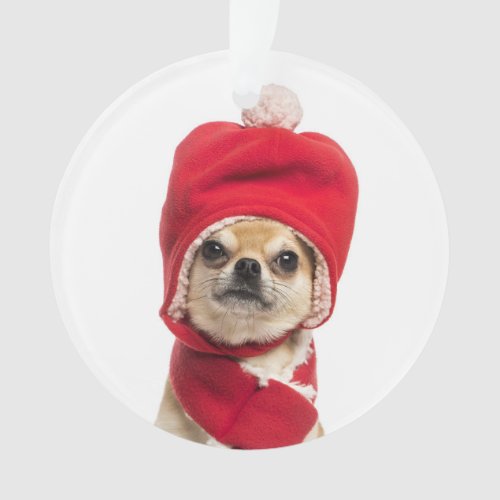 Chihuahua Wearing Christmas Hat And Scarf Ornament