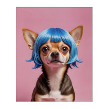 Chihuahua wig