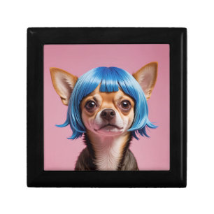 Chihuahua wig gift box