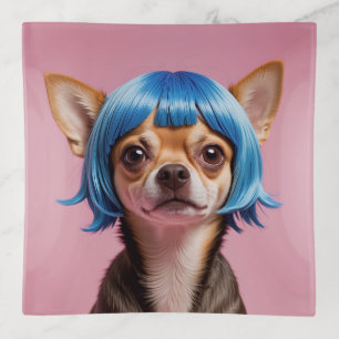 Chihuahua wig trinket tray