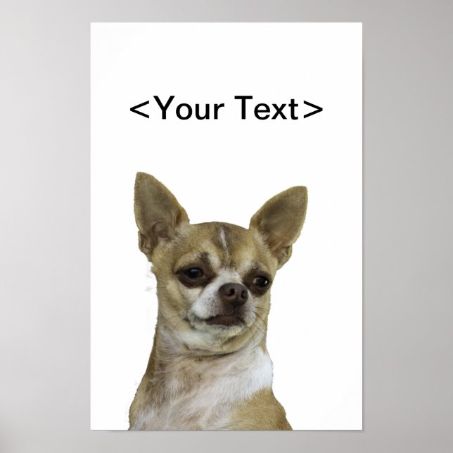 Chihuahua with Attitude Poster (Front)