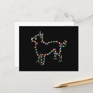 Chihuahua With Christmas Light Dog Lovers Xmas Postcard