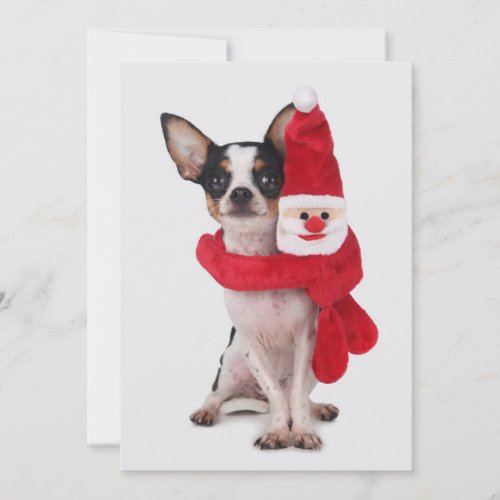 Chihuahua with Santa Claus doll Holiday Card