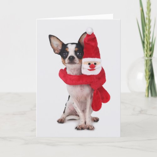 Chihuahua with Santa Claus doll Holiday Card