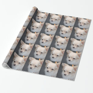 Chihuahua Wrapping Paper