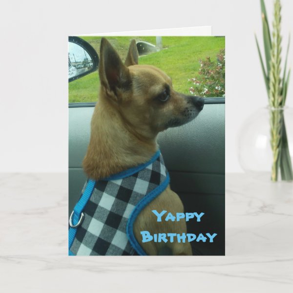Chihuahua Cards | Zazzle