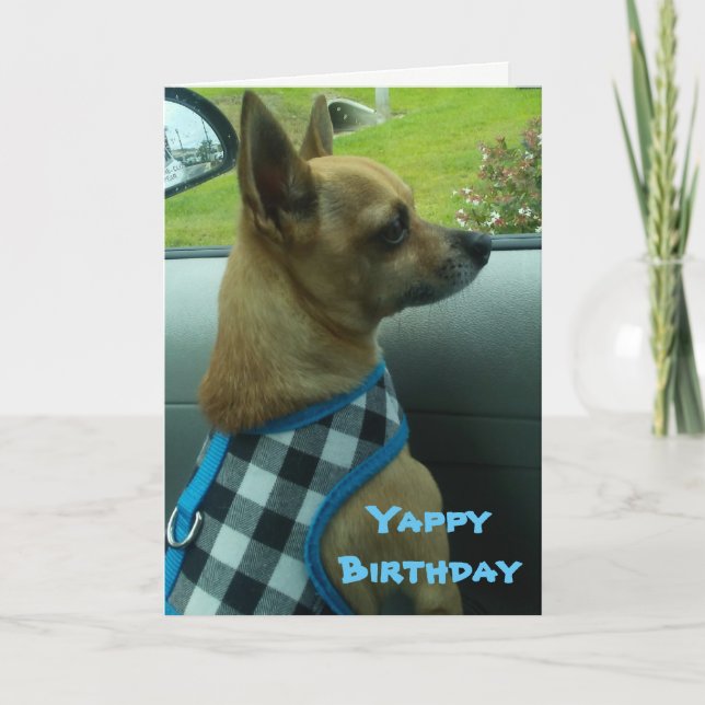 Chihuahua Yappy Birthday Card (Front)