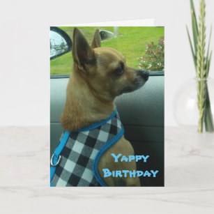 Best Chihuahua Birthday Cards Zazzle