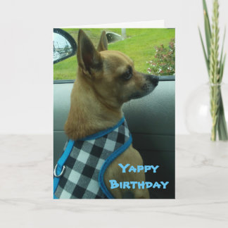Chihuahua Yappy Birthday Card