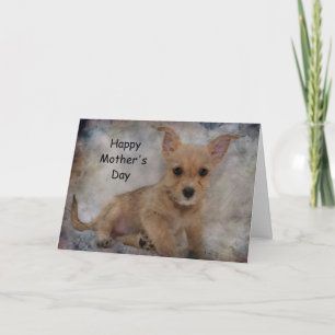 Chihuahua/Yorkie Puppy Card