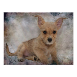 Chihuahua/Yorkie Puppy Photo Print