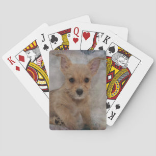 Chihuahua/Yorkie Puppy Poker Cards
