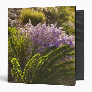 Chihuahuan desert plants in bloom 3 ring binder