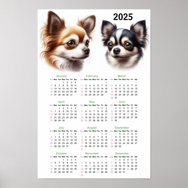 Chihuahuas 2025 Calendar  Poster (Front)