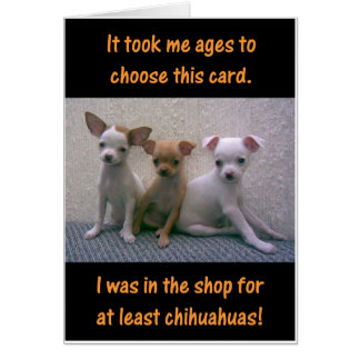 Chihuahuas Cards