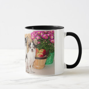 Chihuahua's in the fall mug