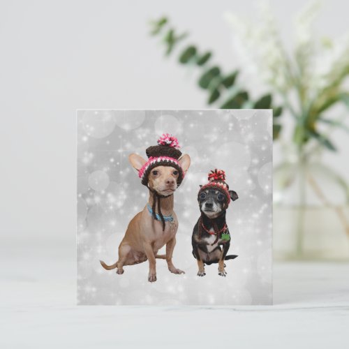 Chihuahuas in Winter Hats Holiday Card