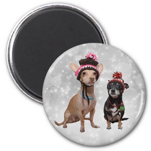 Chihuahuas in Winter Hats Magnet