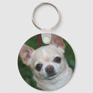 chihuahuas keychain
