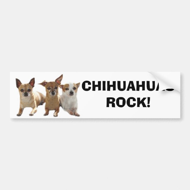 Chihuahuas Rock Bumper Sticker (Front)
