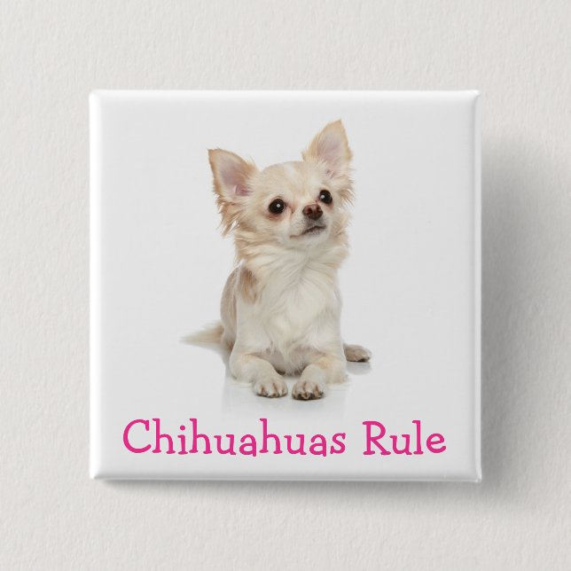 Chihuahuas Rule Button Pin (Front)