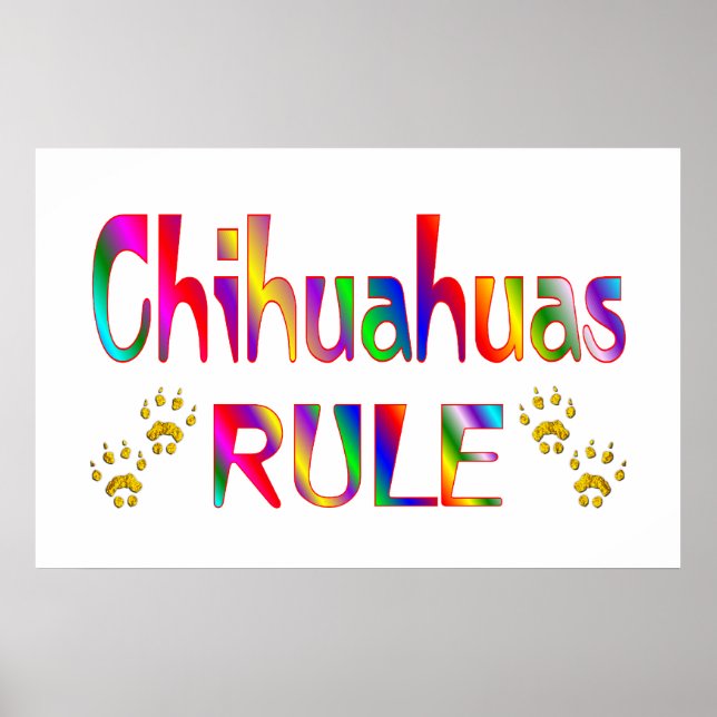 Chihuahuas Rule Poster (Front)