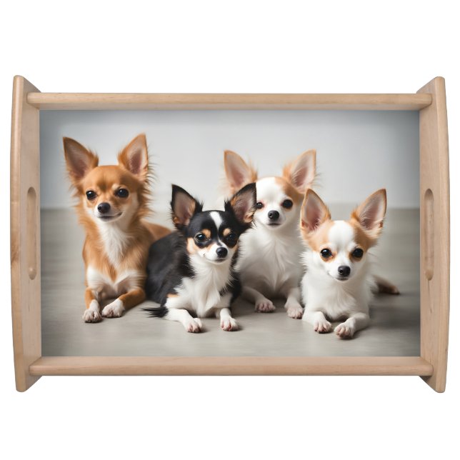 Chihuahuas Serving Tray (Front)
