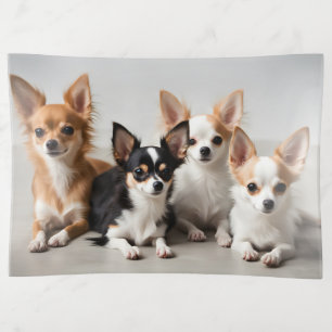 Chihuahuas Trinket Tray