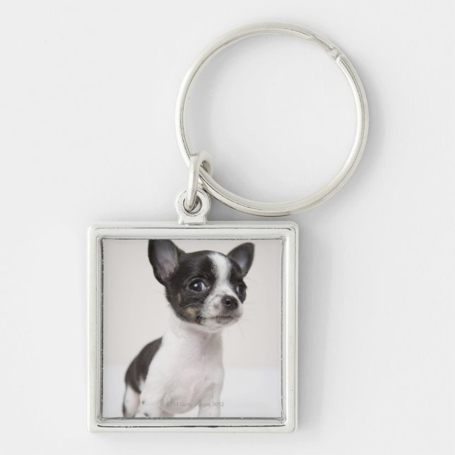 Chihuhua puppy standing on white fabric keychain (Front)