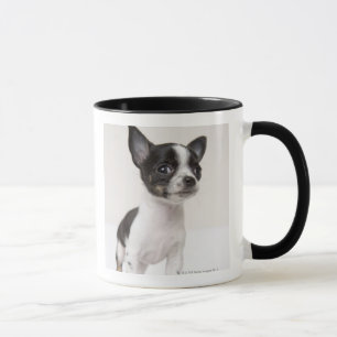 Chihuhua puppy standing on white fabric mug