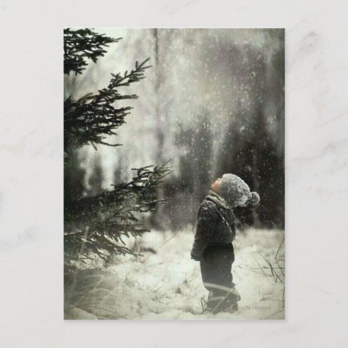 Child and fir postcard