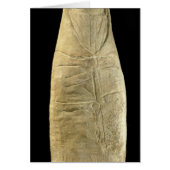 Child in swaddling clothes (Front)