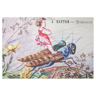 Child Riding Grasshoppers Gallery Wrap